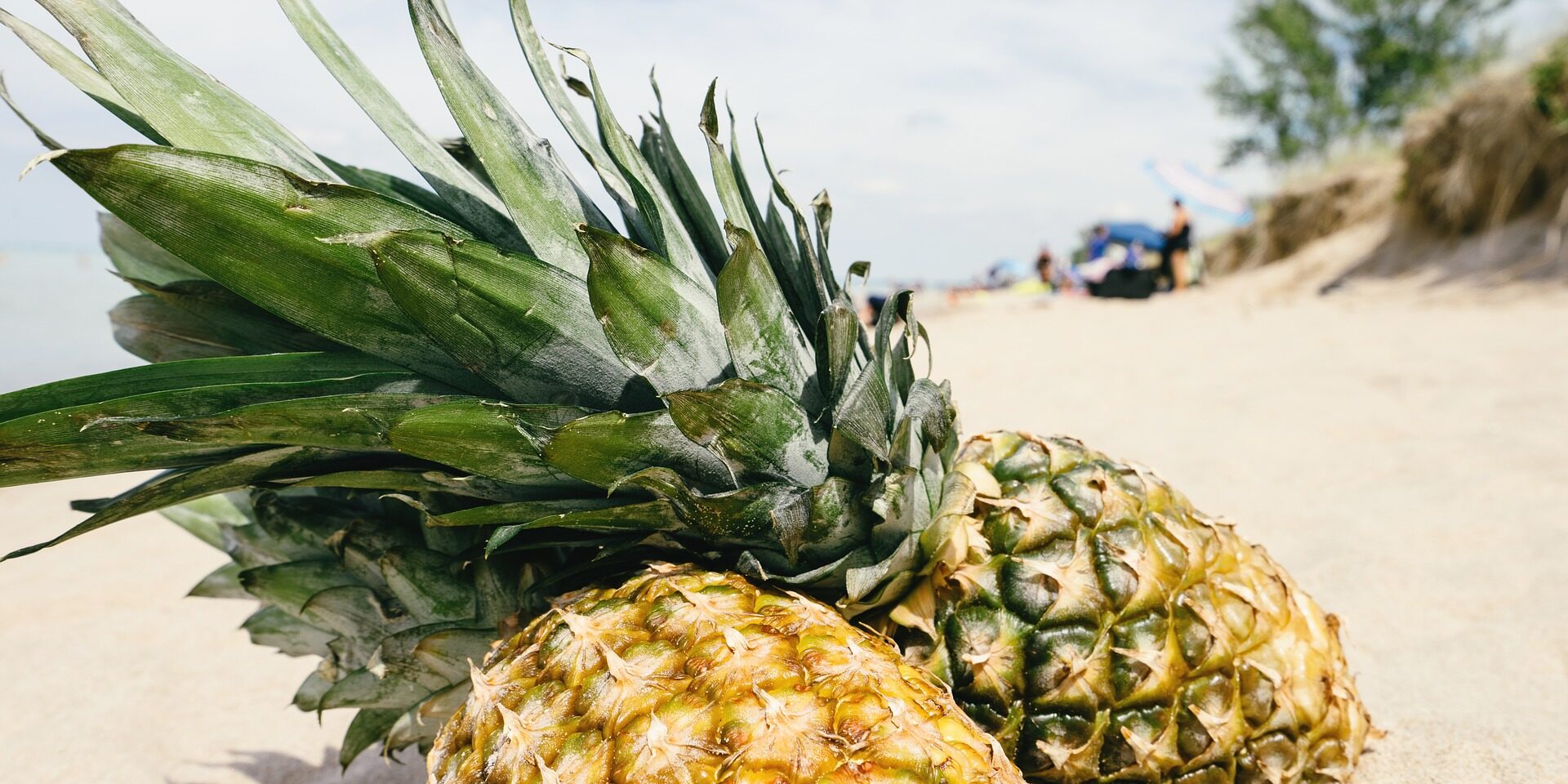 Planning the Perfect Luau