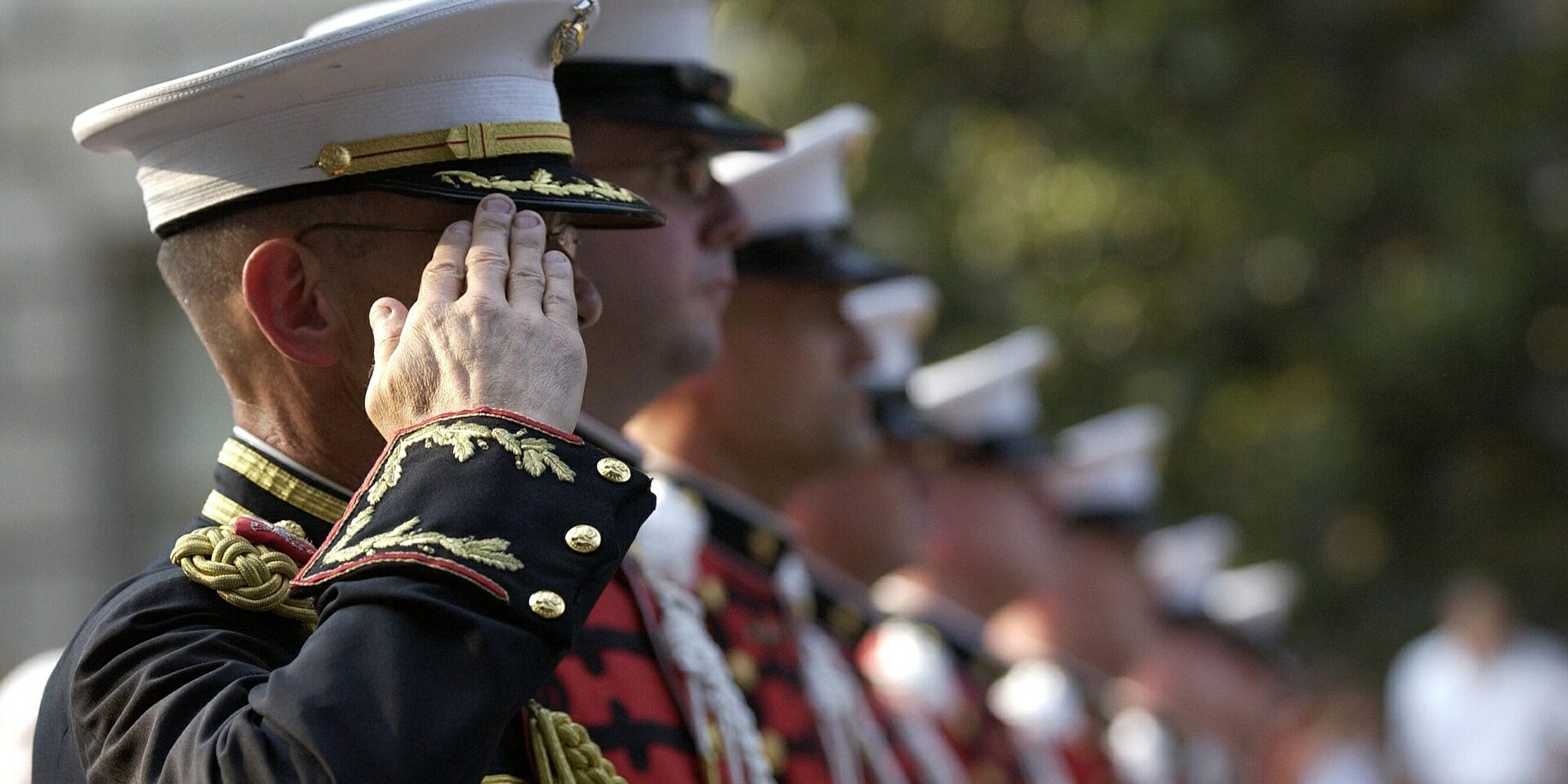 Thanking a Veteran on Veteran’s Day Thanking a Veteran on Veteran's Day