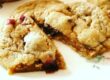 Cranberry Spice Christmas Cookies